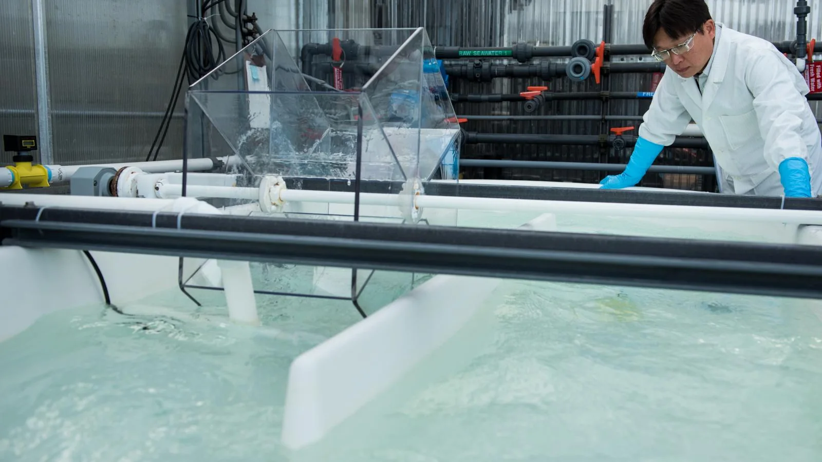 Researcher working beside a large natural-seawater raceway used to evaluate mineral-extraction materials