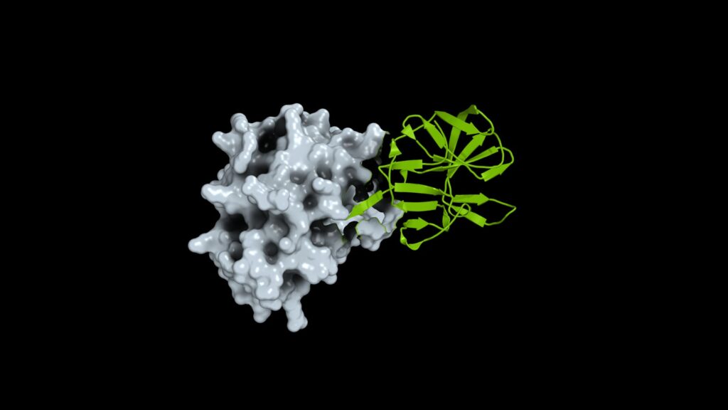 NVIDIA and Google DeepMind Release Open Viral Protein Dataset Official NVIDIA visualization of a predicted viral protein complex on a black background