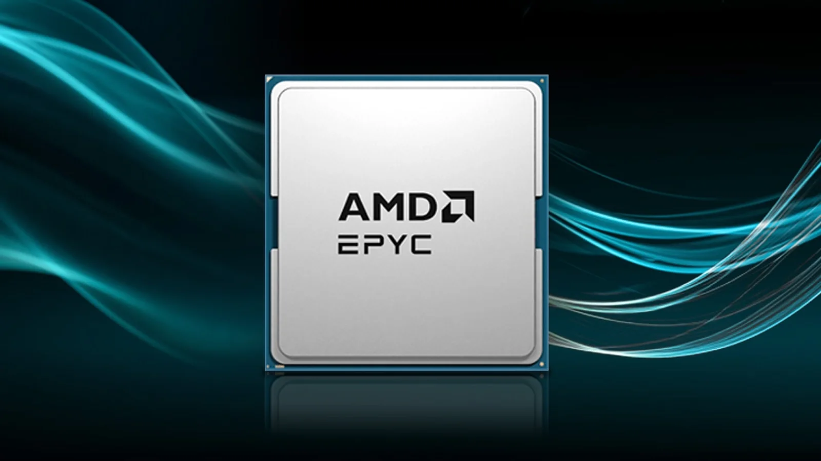 Official AMD EPYC 9006 Venice processor render showing exposed silicon dies and chiplet architecture