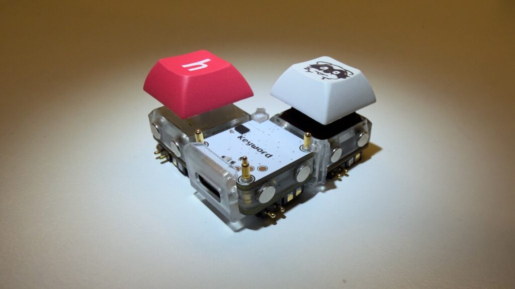 Keybytes Modular Keyboard Gives Every Key Its Own RISC-V Chip Official photograph of the working Keybytes prototype featuring two mechanical keys and a central USB-C controller