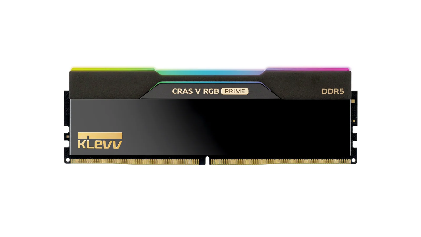 Clean front-facing product render showing the CRAS V RGB PRIME DDR5 memory module, gold KLEVV branding, and illuminated