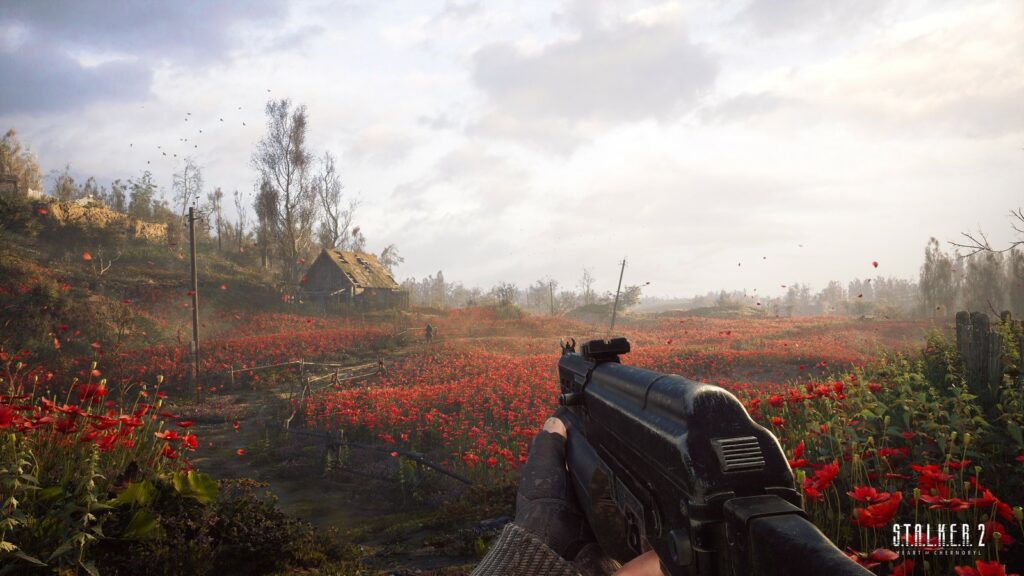 STALKER 2 Update 2.1 Revealed With A-Life and Combat Changes First-person gameplay view overlooking a field of red poppies, with a rifle in the foreground and abandoned buildings in